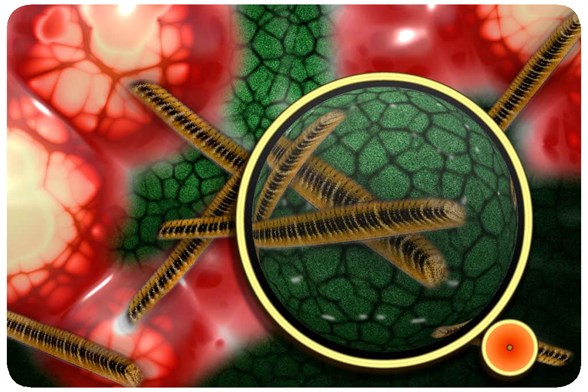 Curso Básico de Micología Médica